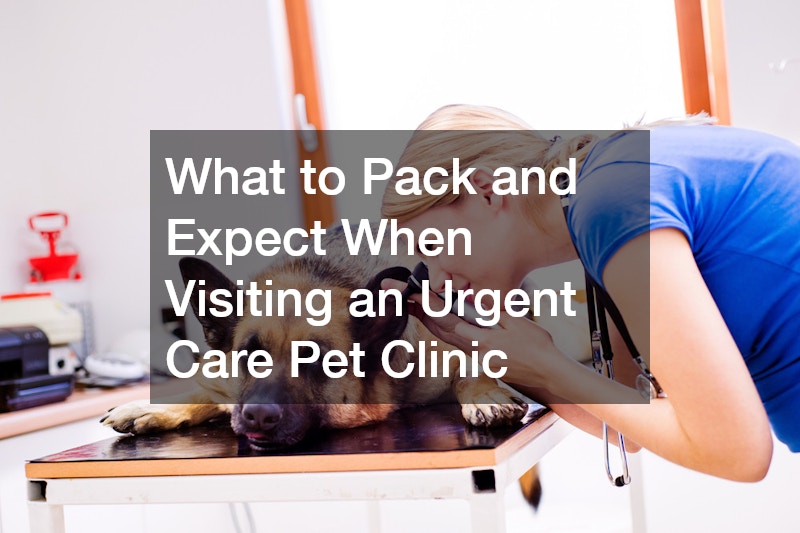What to Pack and Expect When Visiting an Urgent Care Pet Clinic